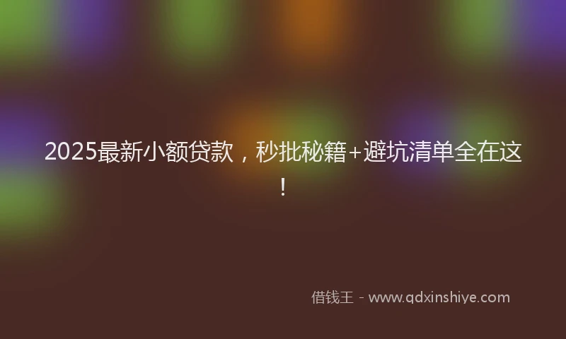 2025最新小额贷款，秒批秘籍+避坑清单全在这！