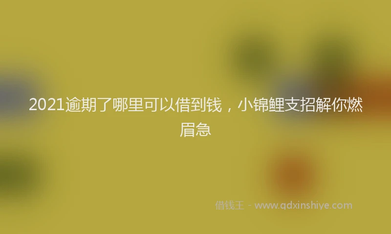 2021逾期了哪里可以借到钱，小锦鲤支招解你燃眉急