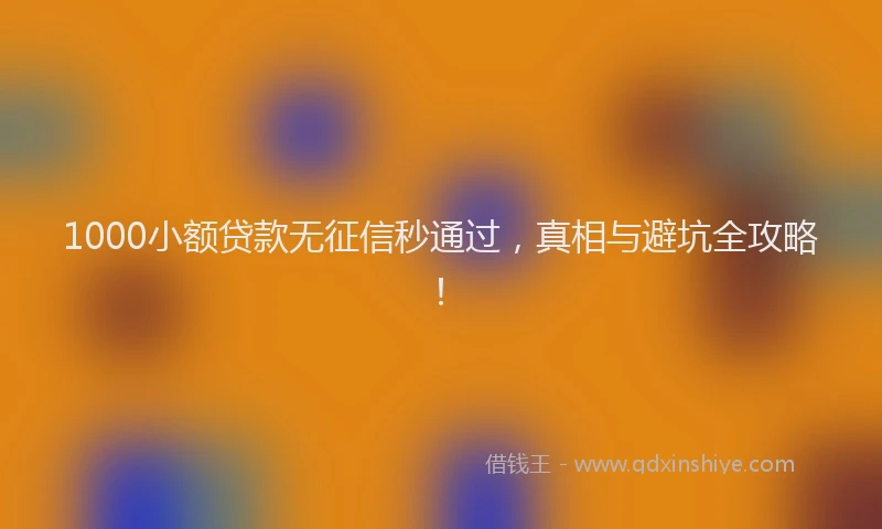 1000小额贷款无征信秒通过，真相与避坑全攻略！