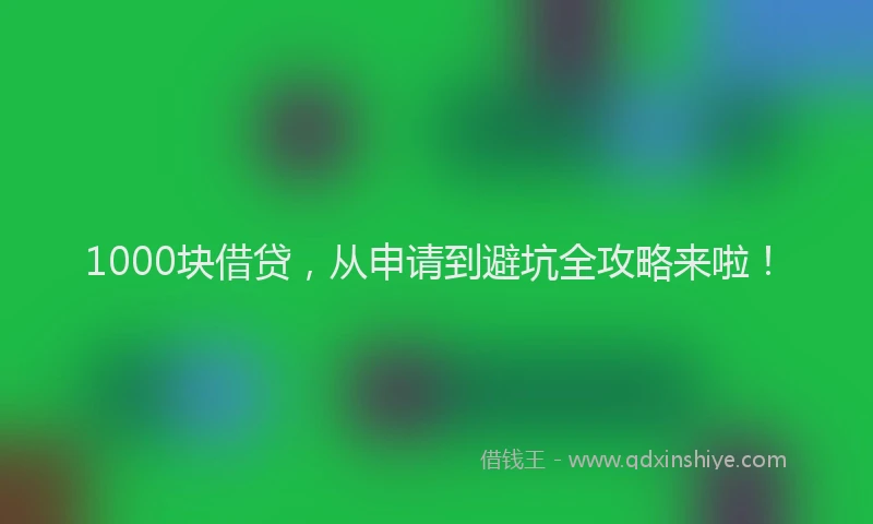 1000块借贷，从申请到避坑全攻略来啦！