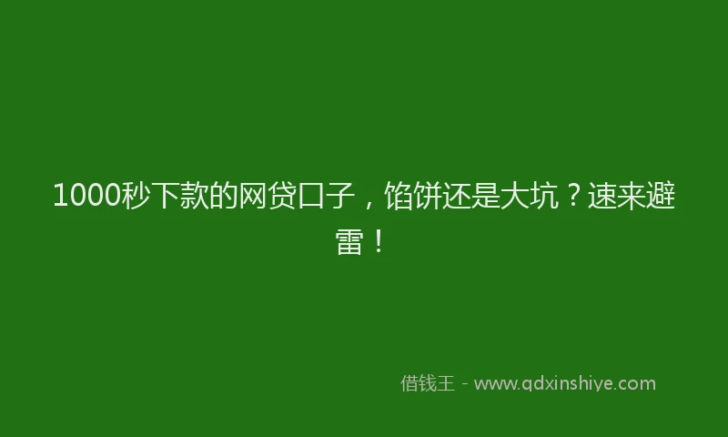 1000秒下款的网贷口子，馅饼还是大坑？速来避雷！
