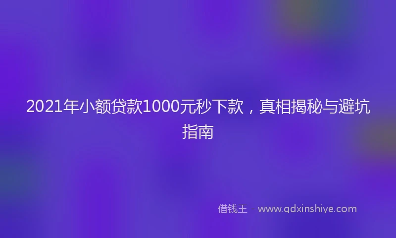 2021年小额贷款1000元秒下款，真相揭秘与避坑指南