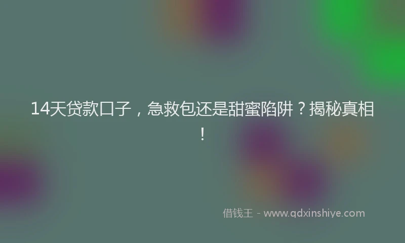 14天贷款口子，急救包还是甜蜜陷阱？揭秘真相！