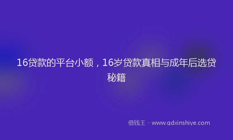 16贷款的平台小额，16岁贷款真相与成年后选贷秘籍