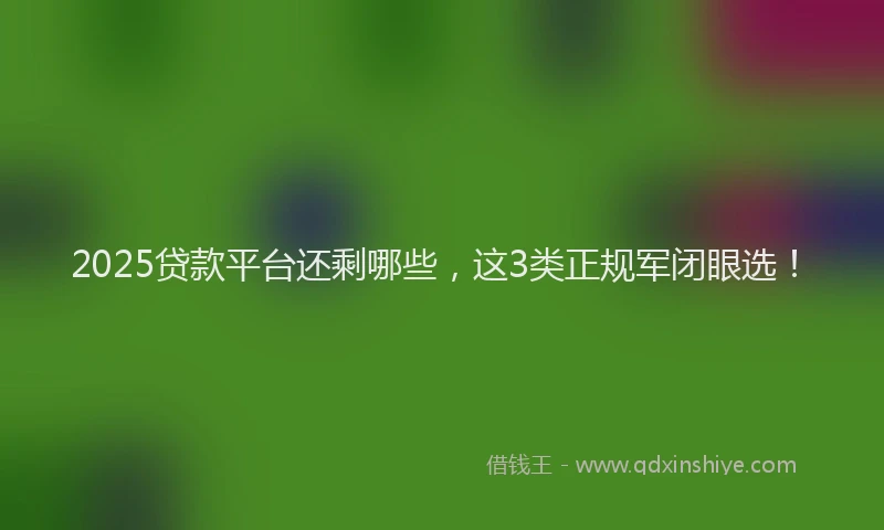 2025贷款平台还剩哪些，这3类正规军闭眼选！