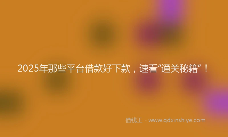 2025年那些平台借款好下款,速看“通关秘籍”!