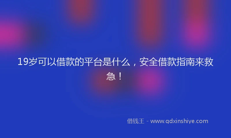 19岁可以借款的平台是什么，安全借款指南来救急！