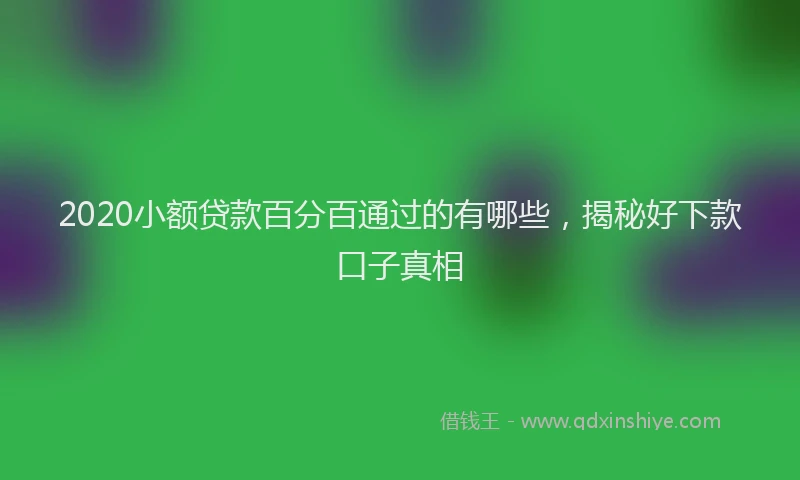 2020小额贷款百分百通过的有哪些，揭秘好下款口子真相