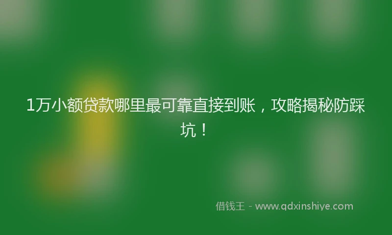 1万小额贷款哪里最可靠直接到账，攻略揭秘防踩坑！