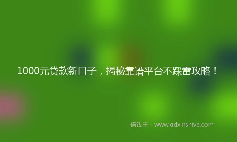 1000元贷款新口子，揭秘靠谱平台不踩雷攻略！