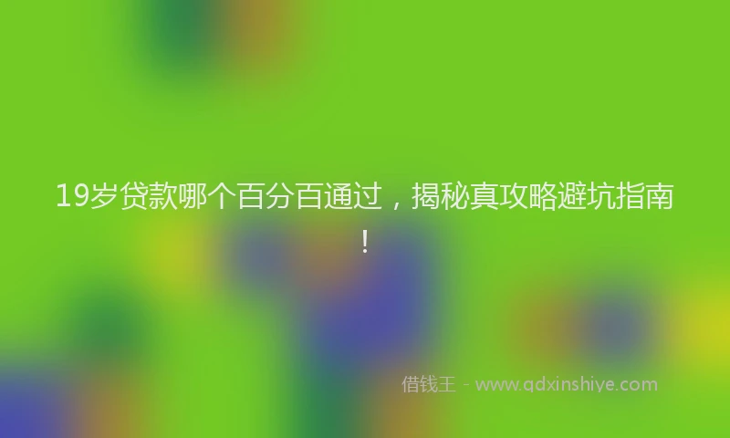 19岁贷款哪个百分百通过，揭秘真攻略避坑指南！