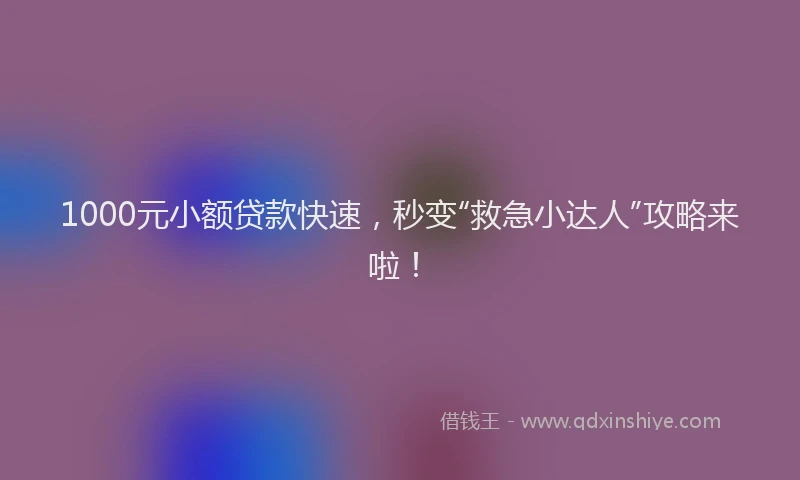 1000元小额贷款快速，秒变“救急小达人”攻略来啦！