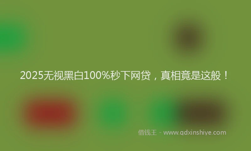 2025无视黑白100%秒下网贷，真相竟是这般！