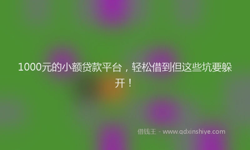 1000元的小额贷款平台，轻松借到但这些坑要躲开！
