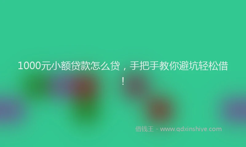 1000元小额贷款怎么贷，手把手教你避坑轻松借！