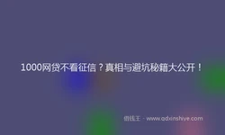 1000网贷不看征信？真相与避坑秘籍大公开！