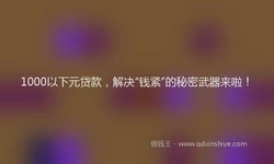 1000以下元贷款，解决“钱紧”的秘密武器来啦！
