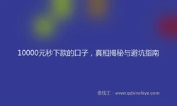 10000元秒下款的口子，真相揭秘与避坑指南