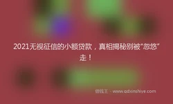 2021无视征信的小额贷款，真相揭秘别被“忽悠”走！