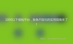 1000以下借钱平台，救急不踩坑的实用指南来了！