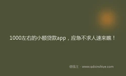 1000左右的小额贷款app，应急不求人速来瞧！