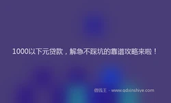 1000以下元贷款，解急不踩坑的靠谱攻略来啦！