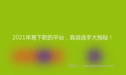 2021年易下款的平台，靠谱选手大揭秘！