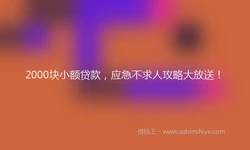 2000块小额贷款，应急不求人攻略大放送！