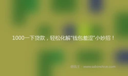 1000一下贷款，轻松化解“钱包羞涩”小妙招！