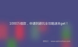 1000万借款，申请到避坑全攻略速来get！