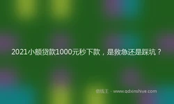 2021小额贷款1000元秒下款，是救急还是踩坑？
