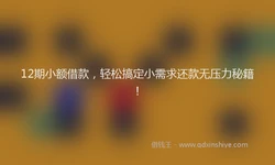 12期小额借款，轻松搞定小需求还款无压力秘籍！
