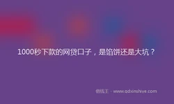1000秒下款的网贷口子，是馅饼还是大坑？