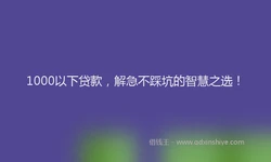 1000以下贷款，解急不踩坑的智慧之选！