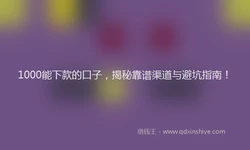 1000能下款的口子，揭秘靠谱渠道与避坑指南！