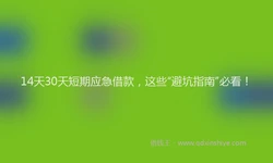 14天30天短期应急借款，这些“避坑指南”必看！