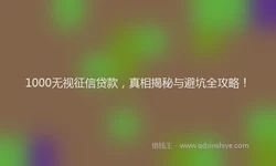 1000无视征信贷款，真相揭秘与避坑全攻略！