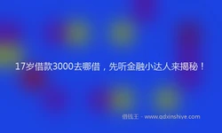 17岁借款3000去哪借，先听金融小达人来揭秘！