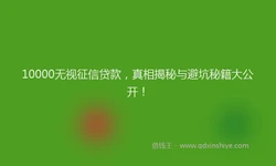 10000无视征信贷款，真相揭秘与避坑秘籍大公开！