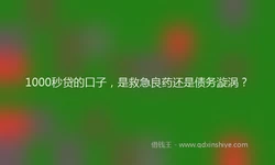 1000秒贷的口子，是救急良药还是债务漩涡？