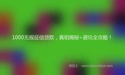 1000无视征信贷款，真相揭秘+避坑全攻略！