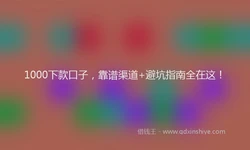1000下款口子，靠谱渠道+避坑指南全在这！