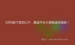 1000能下款的口子，靠谱平台大揭秘速来围观！