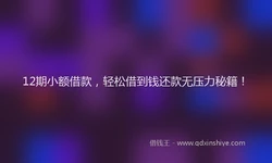 12期小额借款，轻松借到钱还款无压力秘籍！