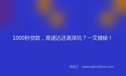1000秒贷款，是速达还是深坑？一文揭秘！