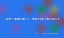 110能处理网贷事宜吗，金融侦探带你揭秘真相！