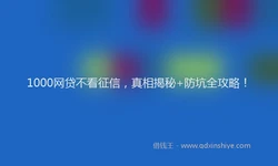 1000网贷不看征信，真相揭秘+防坑全攻略！