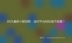 2021最新小额贷款，选对平台轻松借不踩雷！