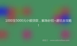1000至5000元小额贷款，解急妙招+避坑全攻略！