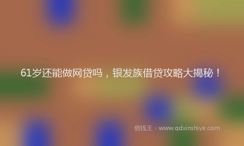 61岁还能做网贷吗，银发族借贷攻略大揭秘！